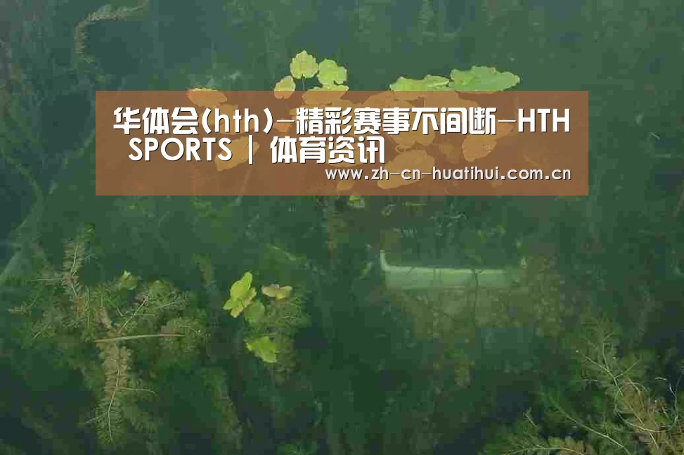 案例展示三