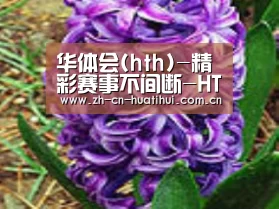 产品名称八