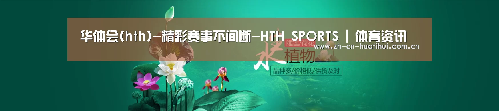 鲜花水草花卉网站模板