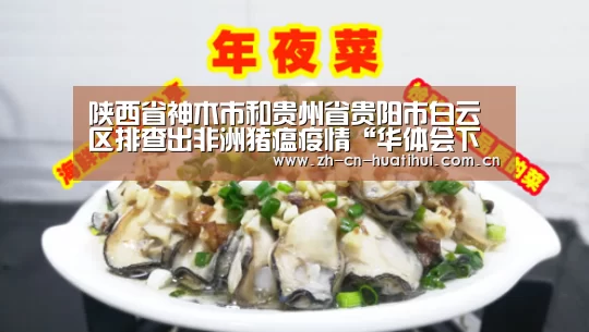 华体会